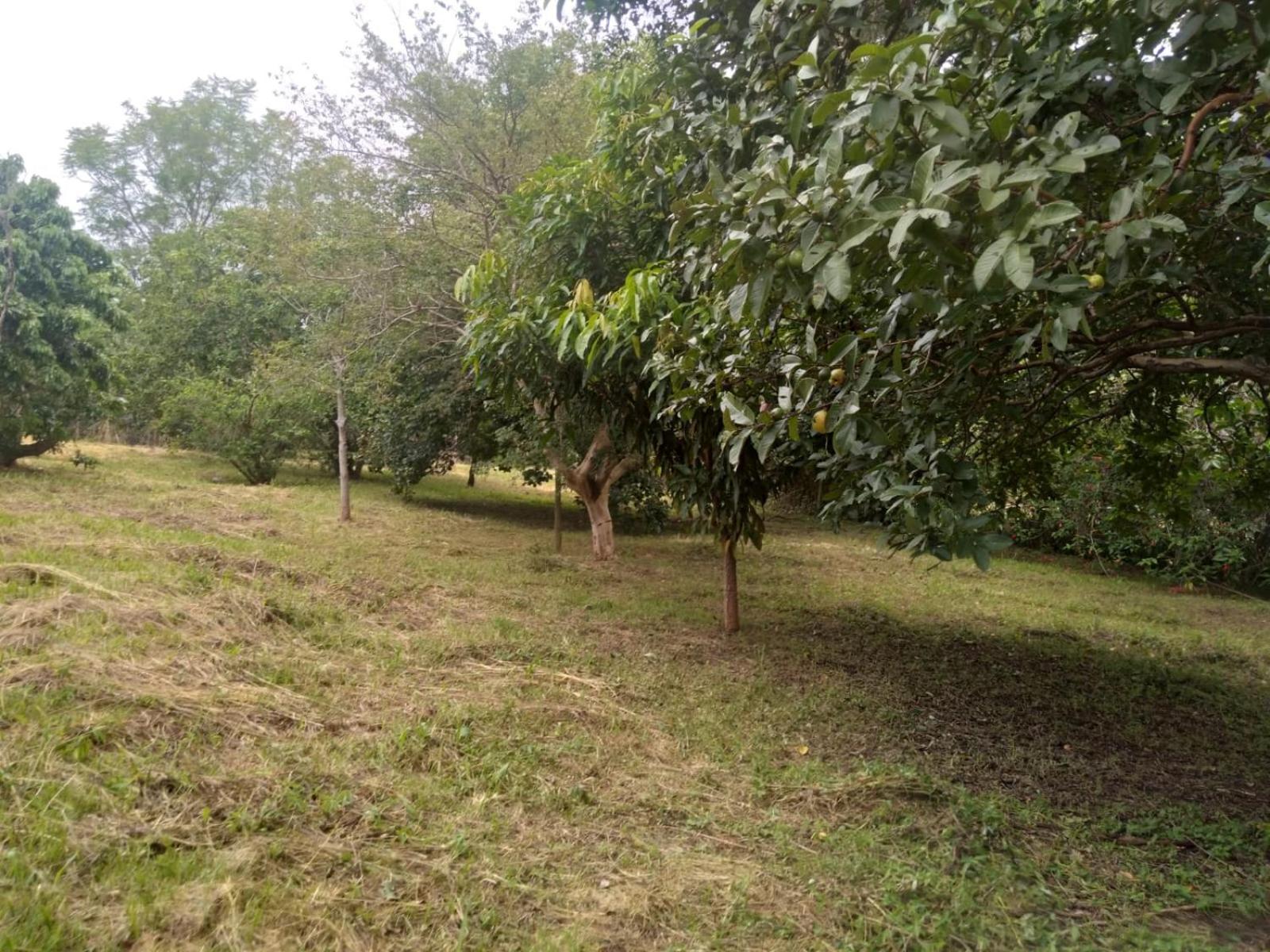 Casa Delicia Em Passa Quatro Ate 6 Pessoas Villa Exterior photo
